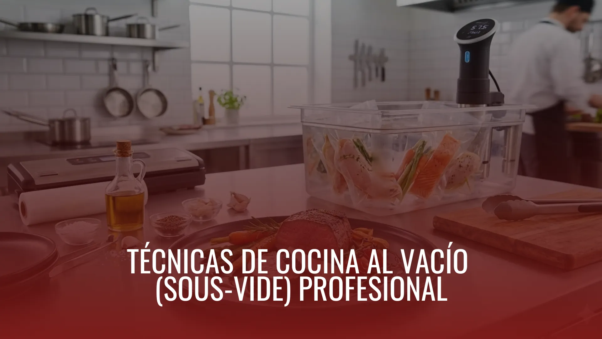 TÉCNICAS DE COCINA AL VACÍO  (SOUS-VIDE) PROFESIONAL