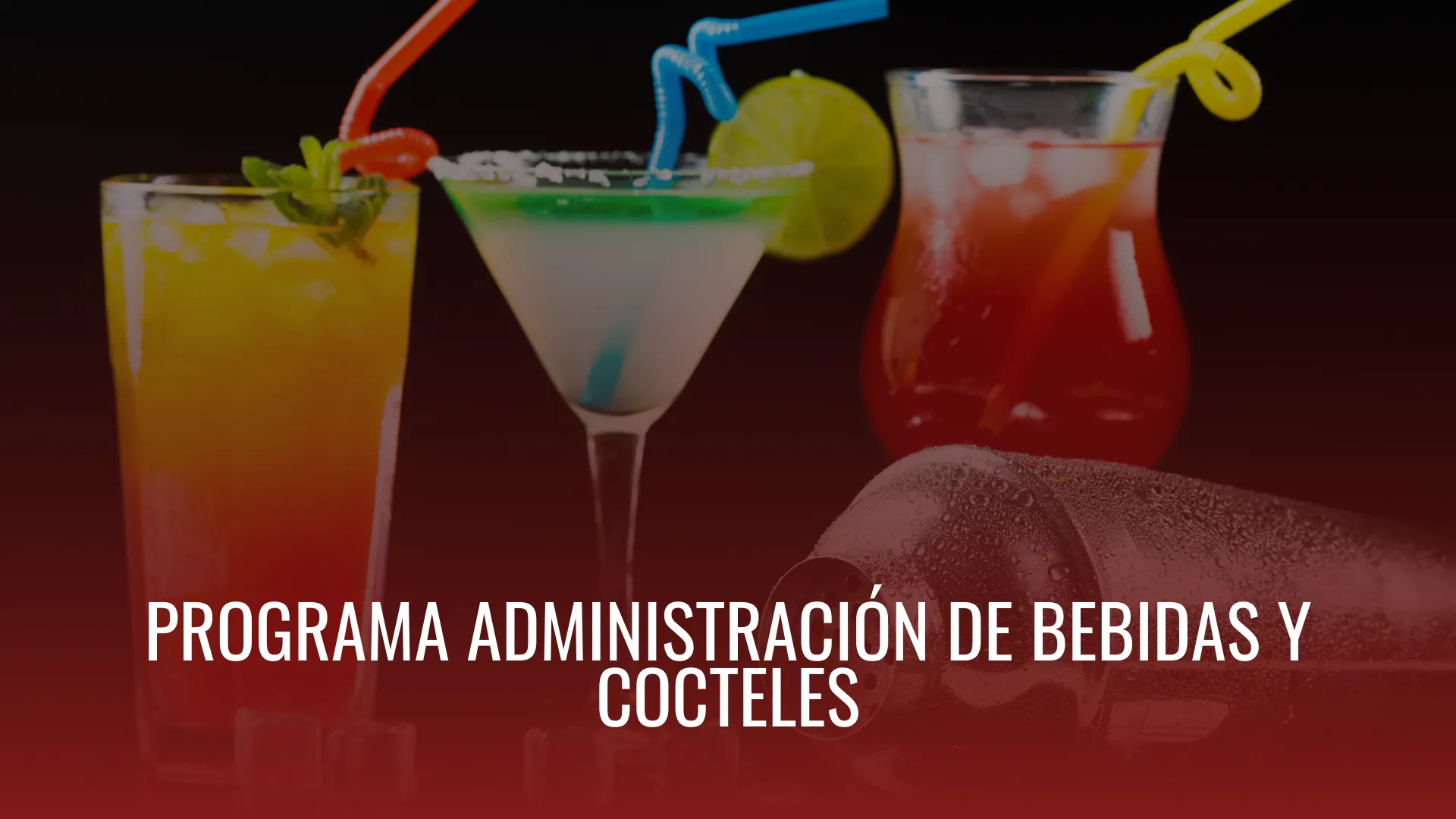 Programa Administración De Bebidas